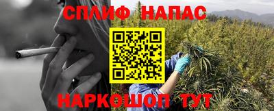 прущие грибы Пугачёв